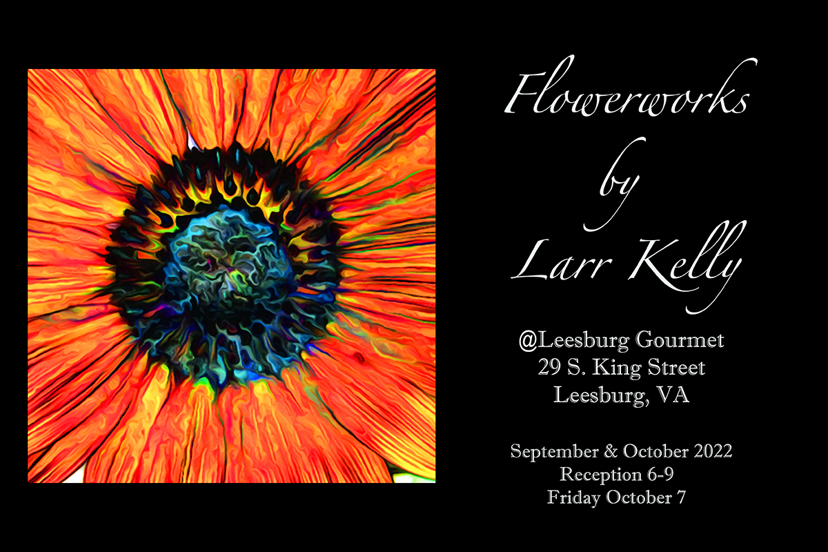 Flowerworks by Larr Kelly, on display at Leesburg Gourmet, September and October 2022; with an Artist's Reception 6-9 on Friday October 7, 2022