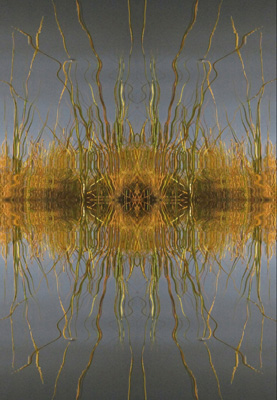 Equinox (Reflection Reflected) (c) Larr Kelly (crop)